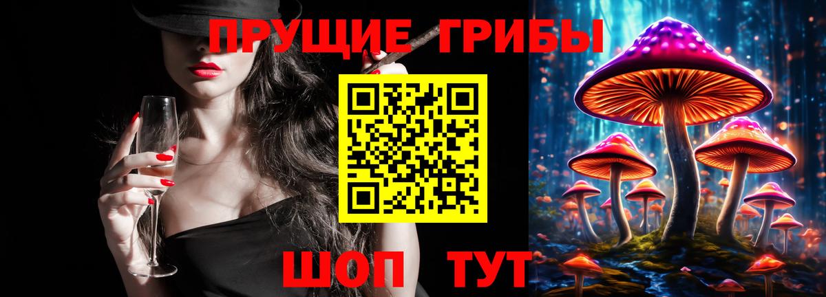 Качканар  Псилоцибиновые грибы GOLDEN TEACHER  цены наркотик  Вход с VPN 