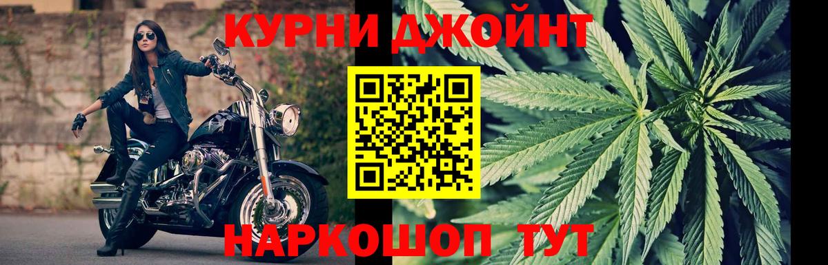 Каннабис гибрид Качканар